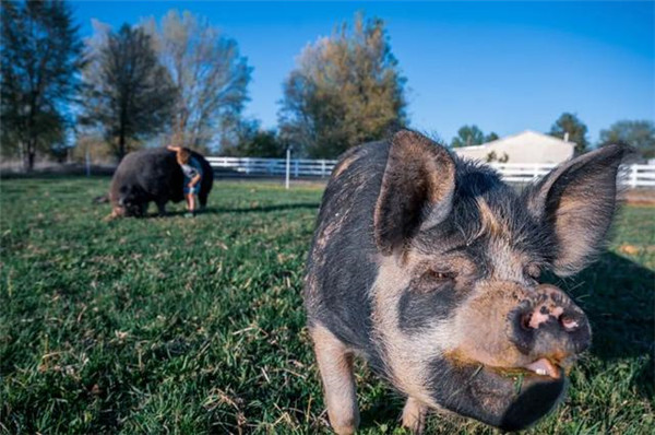 电子游艺网站
产房管理细则(超详细)