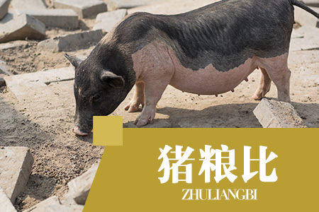 2024年04月03日猪粮比:生猪价格及玉米批发价格