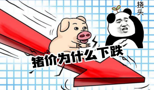 猪价下跌的4个原因曝光,春节能触底反弹吗?