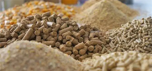 速看!电子游艺网站
饲料使用过程中存在的3大漏洞