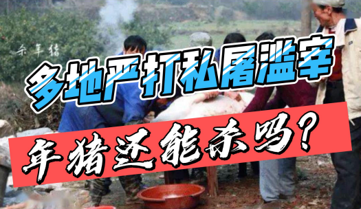 一头猪亏损超300元!再不干预亏损将扩大!