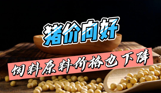 猪价最高涨3.33元/公斤!豆粕跌破4600元/吨!