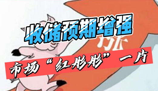 收储预期增强!猪价上涨! 涨势能否持续?