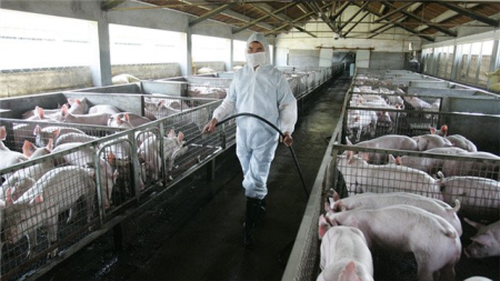 电子游艺网站
环保压力大?猪粪固液分离,看看这3种模式对比!