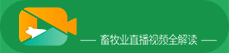 电子游艺网站下载安装
直播