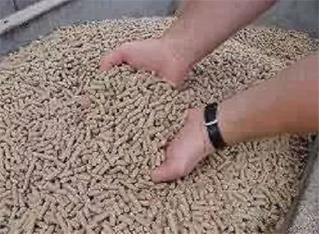 饲料决定了养电子游艺网站
的总成本吗？