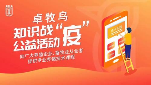 卓牧鸟公益丨135门精品养猪技术专业课免费看，用知识给你力量！