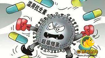 面临全面禁抗，养殖户怎么生存?