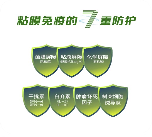 抗病毒，增免疫，防控非瘟，防控腹泻，增强细胞免疫，净化全身细菌病毒。