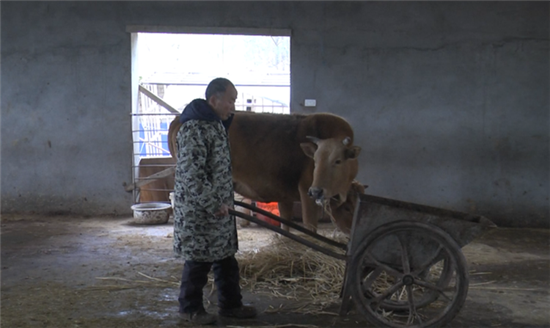 刘常广：养牛养猪摘“穷帽”，贫困户变身“示范户”！