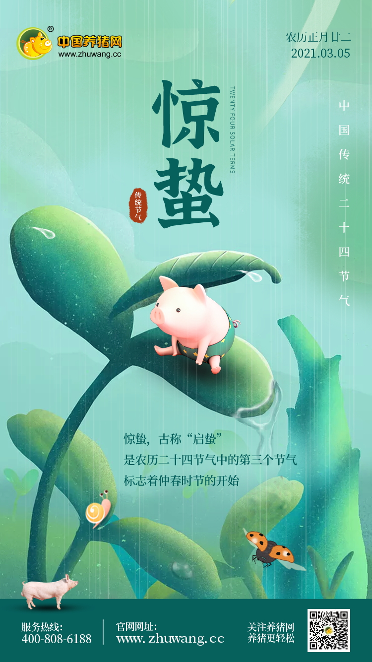 惊蛰-20210305