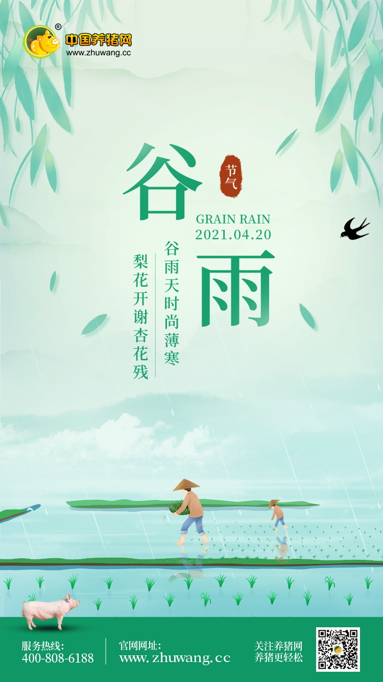 谷雨-20210420