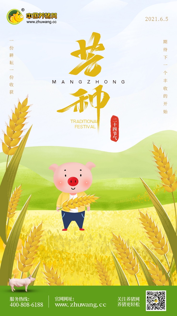 芒种-20210605