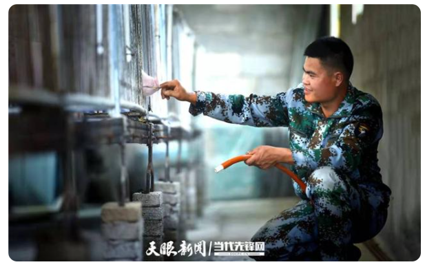 「四新四化蹲点采访」思南：养猪达人李文林带领乡亲们致富