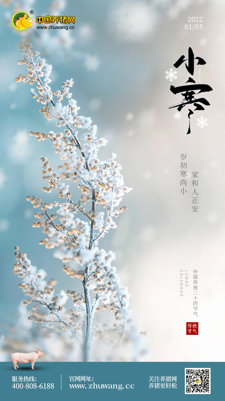 小寒-20220105