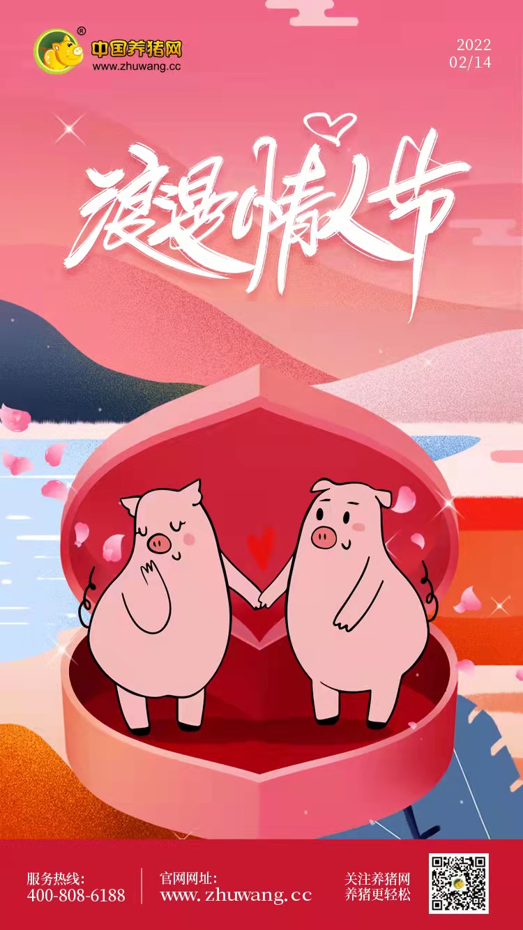 情人节 - 20220214