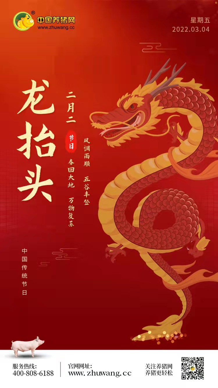 龙抬头-20220304
