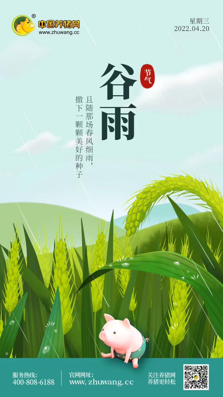 谷雨-20220420