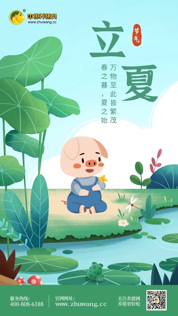 立夏-20220505