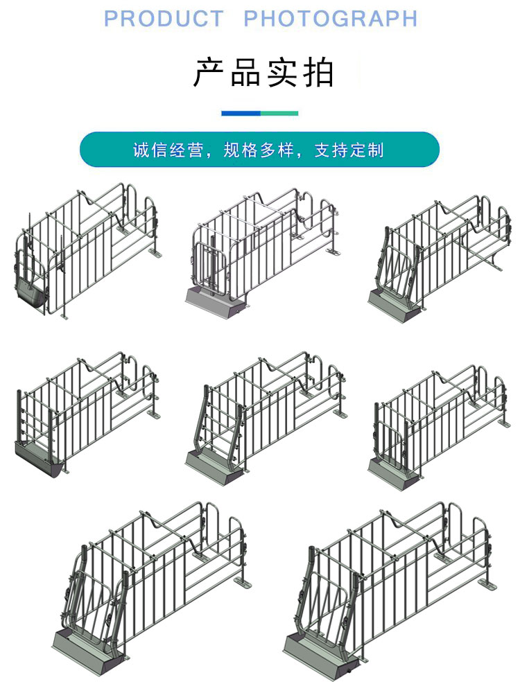 10头猪定位栏多少钱一套?
