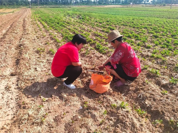 张利娟在地里与农户交流