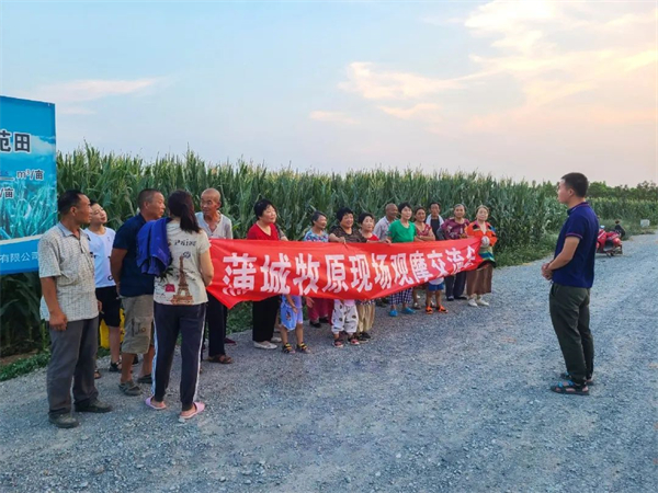 张坤在田间地头组织观摩交流会