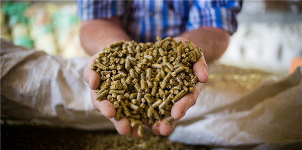 玉米柠檬酸渣在猪料配方中该如何使用？