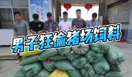 6男子狂偷电子游艺网站
25包猪饲料！其中一人是养电子游艺网站
前员工！