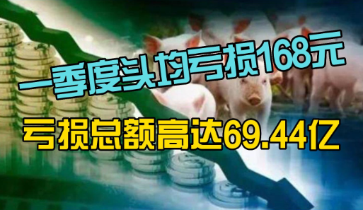 一季度头均亏损168元！亏损总额高达69.44亿元！