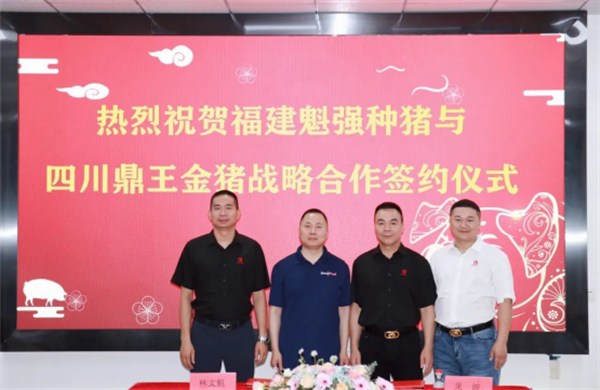 联合全球顶级基因，助力遗传育种进展——鼎王猪精为什么行？