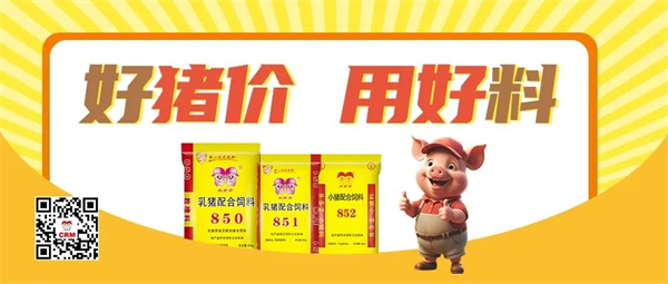 好行情，孕育未来！—— 双胞胎高产母猪料，助力高产稳产