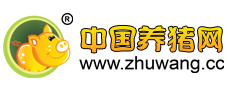 中国电子游艺网站下载安装

