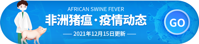 电子游艺网站下载安装
