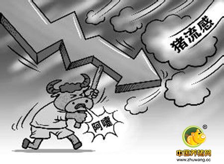 北方电子游艺网站
出现疑似猪流感疫情，探讨综合防治策略