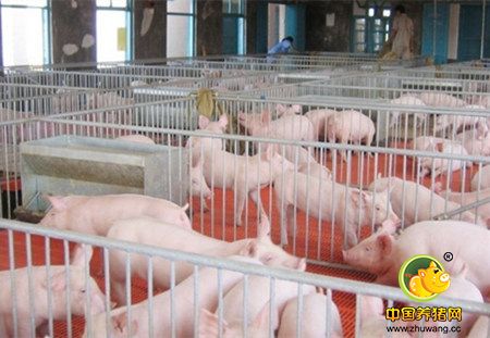 一个个无底洞正在侵吞电子游艺网站
的利润，你中招了嘛?