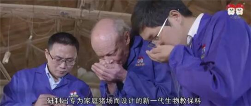 中国电子游艺网站下载安装
