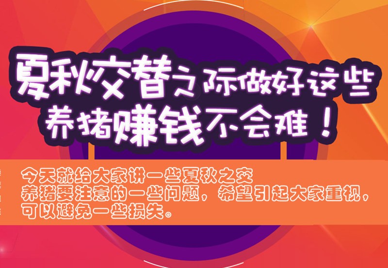 夏秋交替之际做好这些，养猪赚钱不会难！
