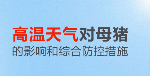 高温天气对母猪的影响和综合防控措施