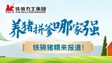 养猪拼爹哪家强？铁骑猪精来报道！