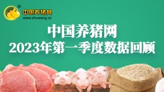 2023年第一季度数据报告