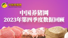 2023年第四季度数据报告