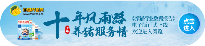 电子游艺网站下载安装
