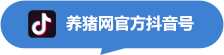 抖音号