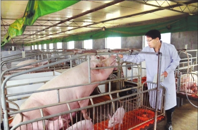 电子游艺网站
传染病防控要点