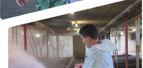 中国电子游艺网站下载安装
