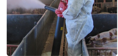 中国电子游艺网站下载安装
