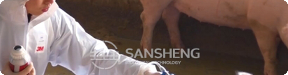 中国电子游艺网站下载安装
