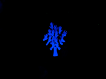 新春影片活动视频区