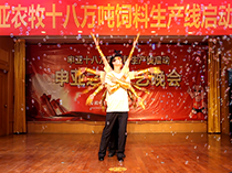 新春影片活动视频区