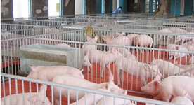 电子游艺网站
通风各有妙招，你用对了吗？